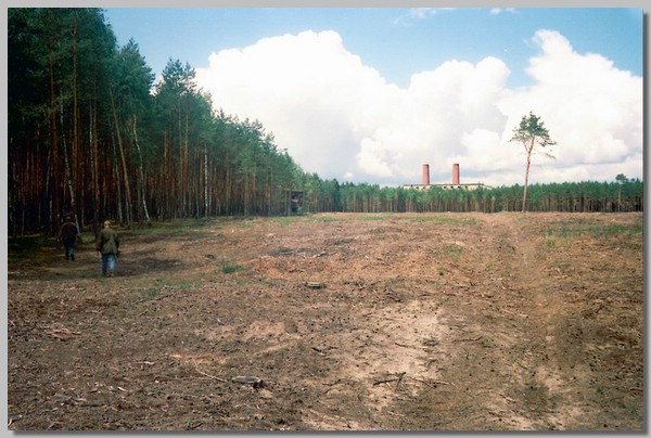 6QD0001027.JPG ()