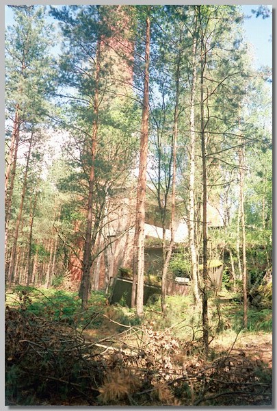 6QD0001028.JPG ()