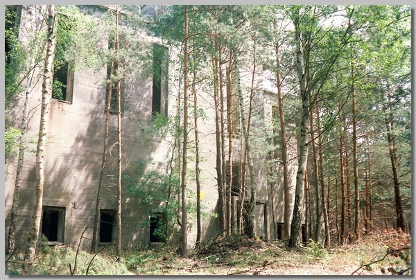 6QD0001029.JPG ()