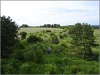 mru 017.jpg()