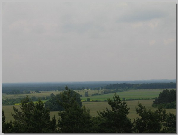 Marcin 081.jpg ()