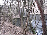 IMG_5672.JPG(219 KB)