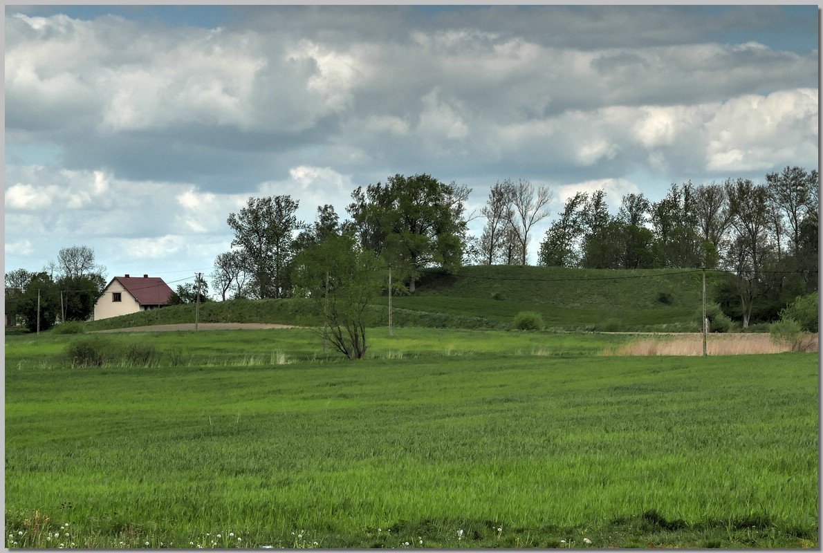 P1400394_5_6.jpg (262 KB)