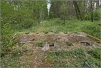 P1400261.JPG(484 KB)