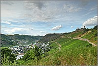 P1520213_4_5.jpg(244 KB)