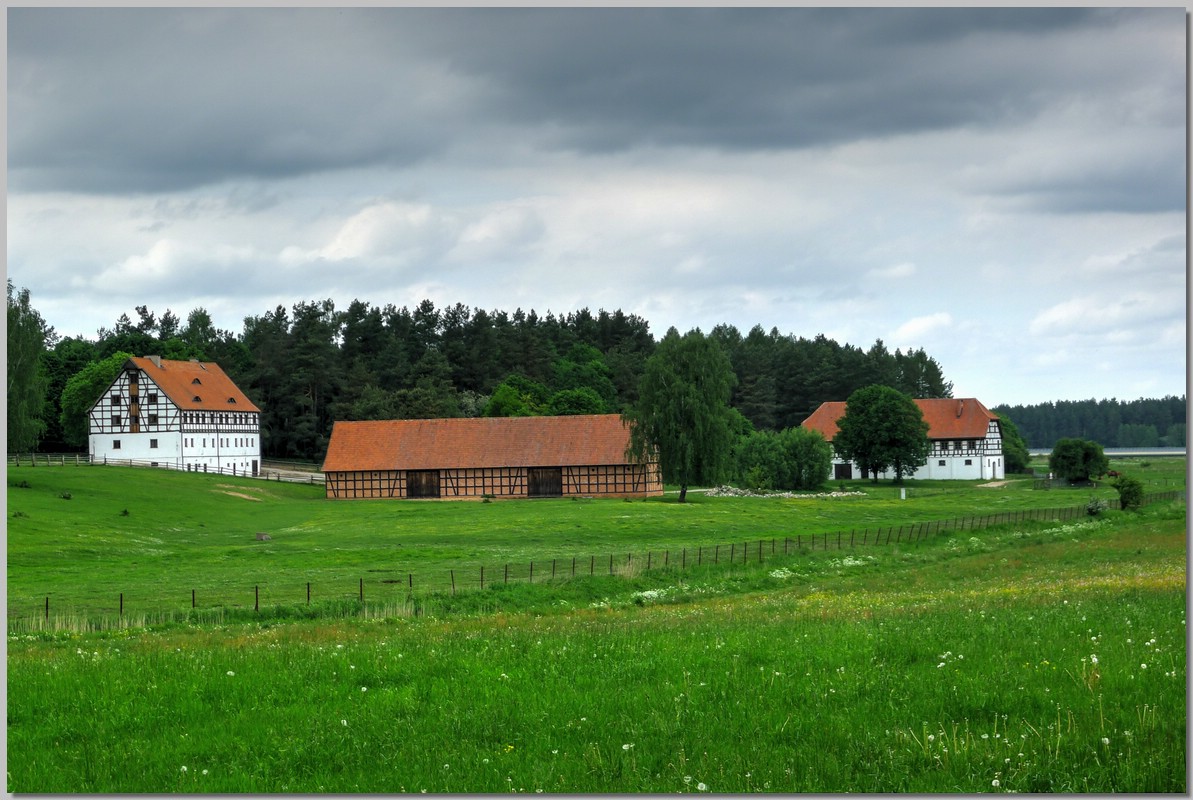 P1360167_8_9.jpg (237 KB)