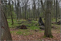 P1430004_5_6.jpg(375 KB)