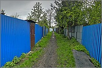 P1430853_4_5.jpg(286 KB)