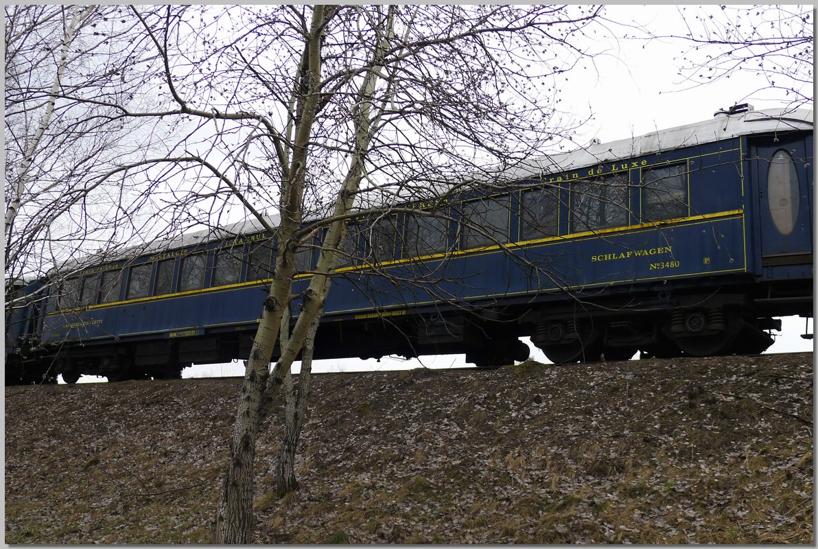 P1220785.jpg (428 KB)