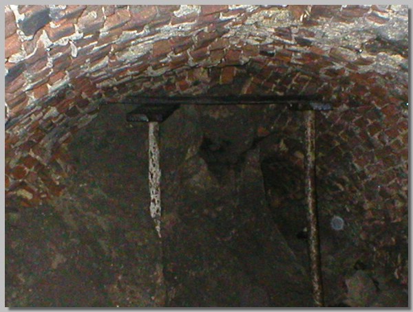 P1010027.JPG ()