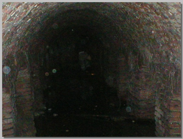 P1010037.JPG ()