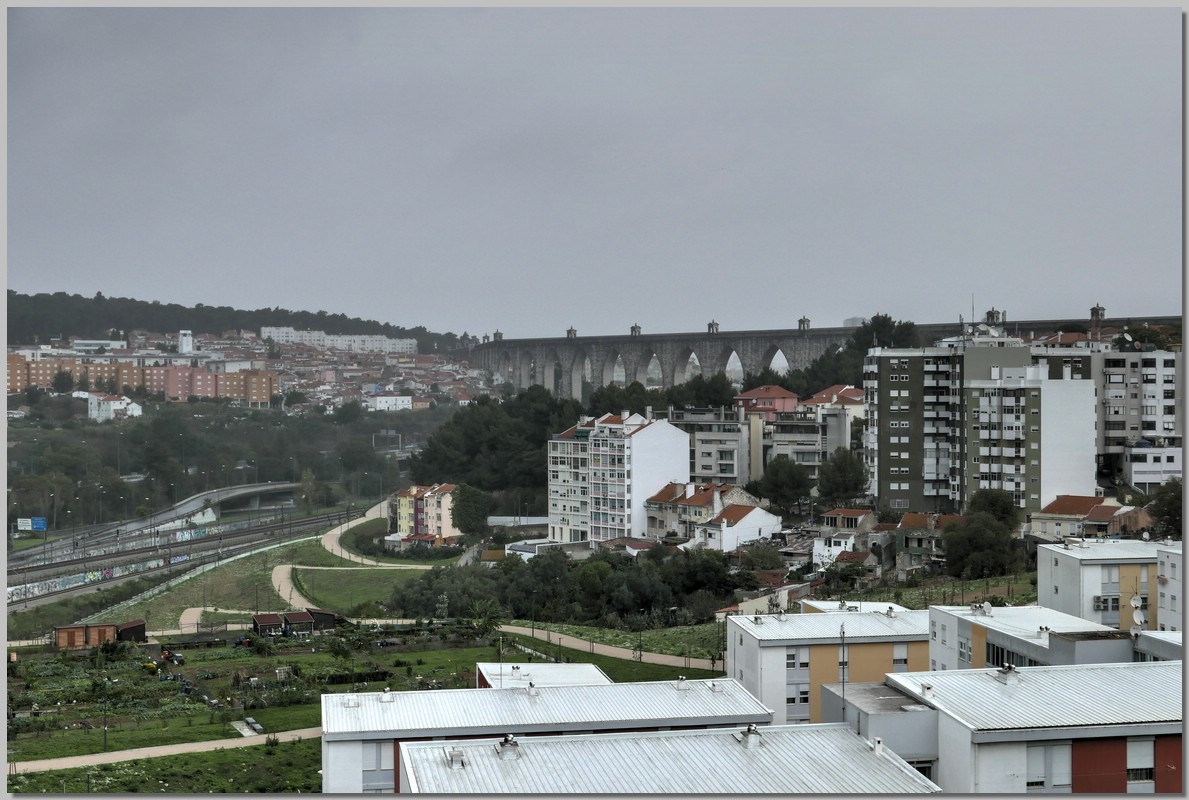 P1380165_6_7.jpg (226 KB)