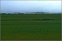 P1060453.jpg(114 KB)