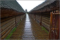 P1060473.jpg(176 KB)