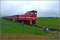 P1060505.jpg(147 KB)