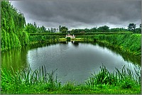 P1060530_1_2.jpg(181 KB)