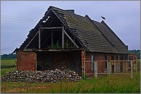P1060559.jpg(152 KB)
