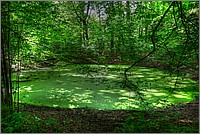 P1060825_6_7.jpg(255 KB)