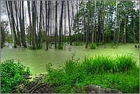 P1060838_39_40.jpg(242 KB)