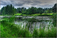 P1060877_8_9.jpg(224 KB)