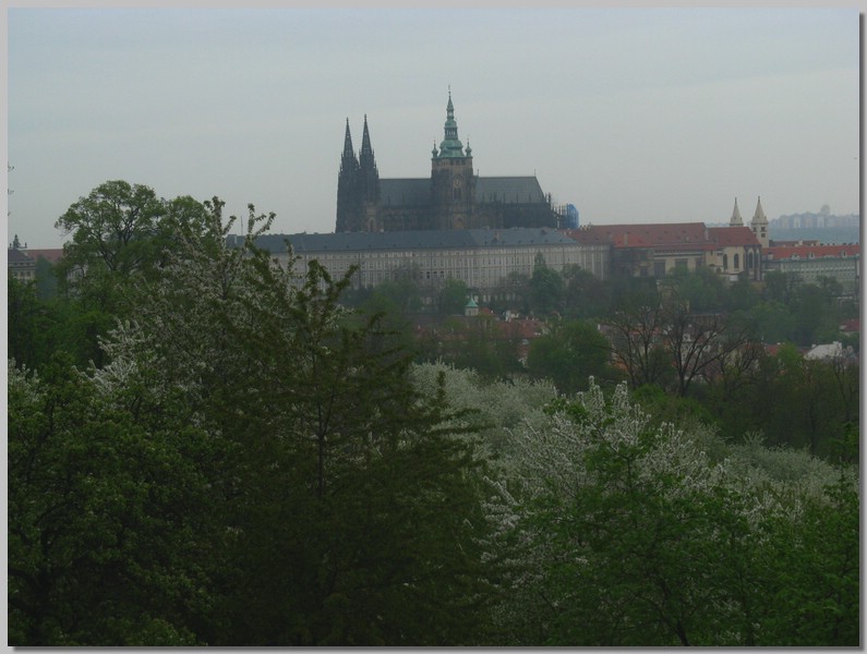 IMG_9451.jpg (97,6 KB)