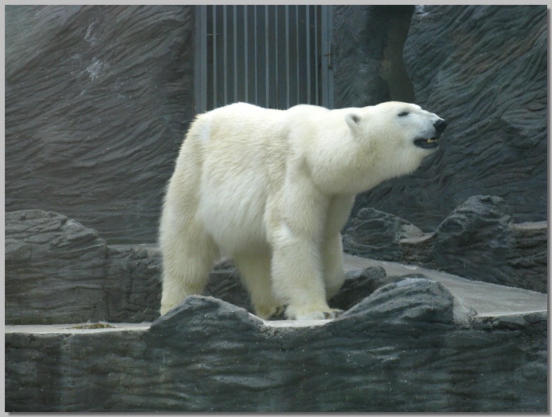 IMG_9785.JPG (111 KB)
