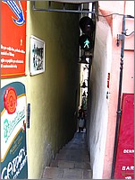IMG_9208.JPG(71,2 KB)