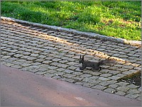 IMG_9241.JPG(185 KB)