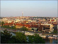 IMG_9246.JPG(135 KB)