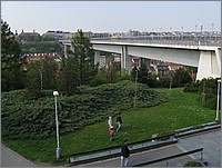 IMG_9318.JPG(130 KB)