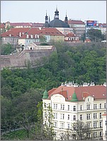 IMG_9328.JPG(85,6 KB)