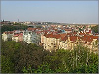 IMG_9329.JPG(146 KB)