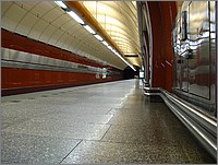 IMG_9376.JPG(130 KB)