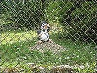 IMG_9389.JPG(241 KB)