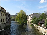 IMG_9393.JPG(121 KB)