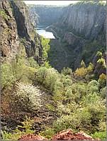 IMG_9398.JPG(122 KB)