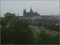 IMG_9451.jpg(97,6 KB)
