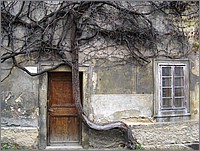 IMG_9505.JPG(185 KB)