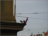 IMG_9519.JPG(63,3 KB)