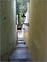 IMG_9527.JPG(58,8 KB)