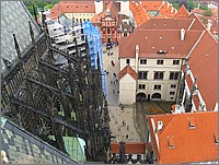 IMG_9546.JPG(188 KB)