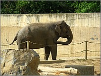 IMG_9738.JPG(165 KB)