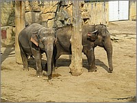 IMG_9751.JPG(139 KB)