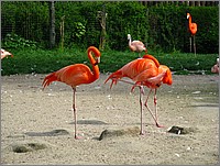 IMG_9755.JPG(180 KB)