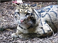 IMG_9769.JPG(163 KB)