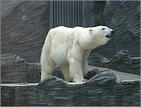 IMG_9785.JPG(111 KB)