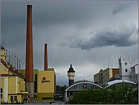 IMG_9794.JPG(83,3 KB)