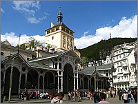 IMG_9865.JPG(143 KB)