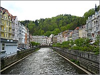 IMG_9868.JPG(172 KB)