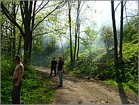IMG_9876.JPG(231 KB)